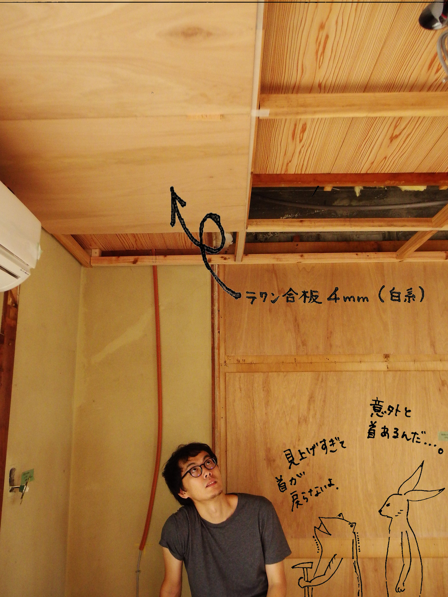 天井見上げ.jpg