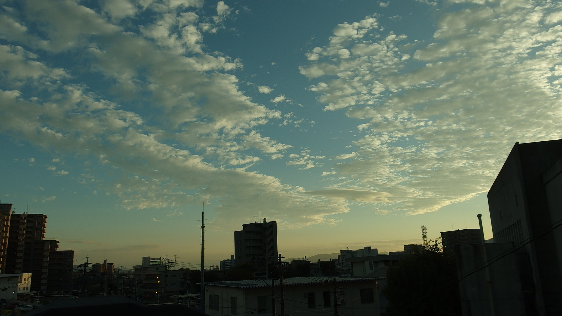 IMGP1022.JPG