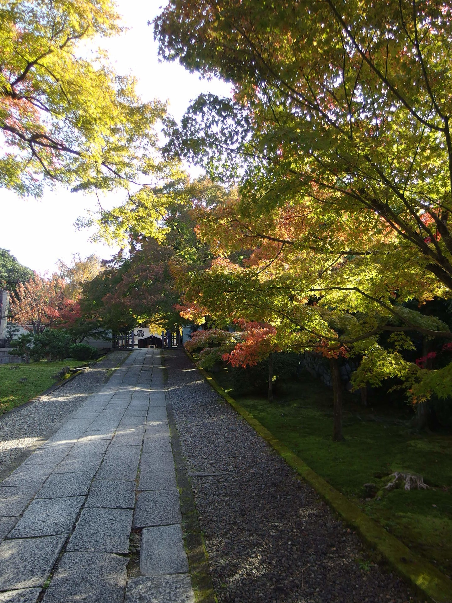 IMGP1274.JPG