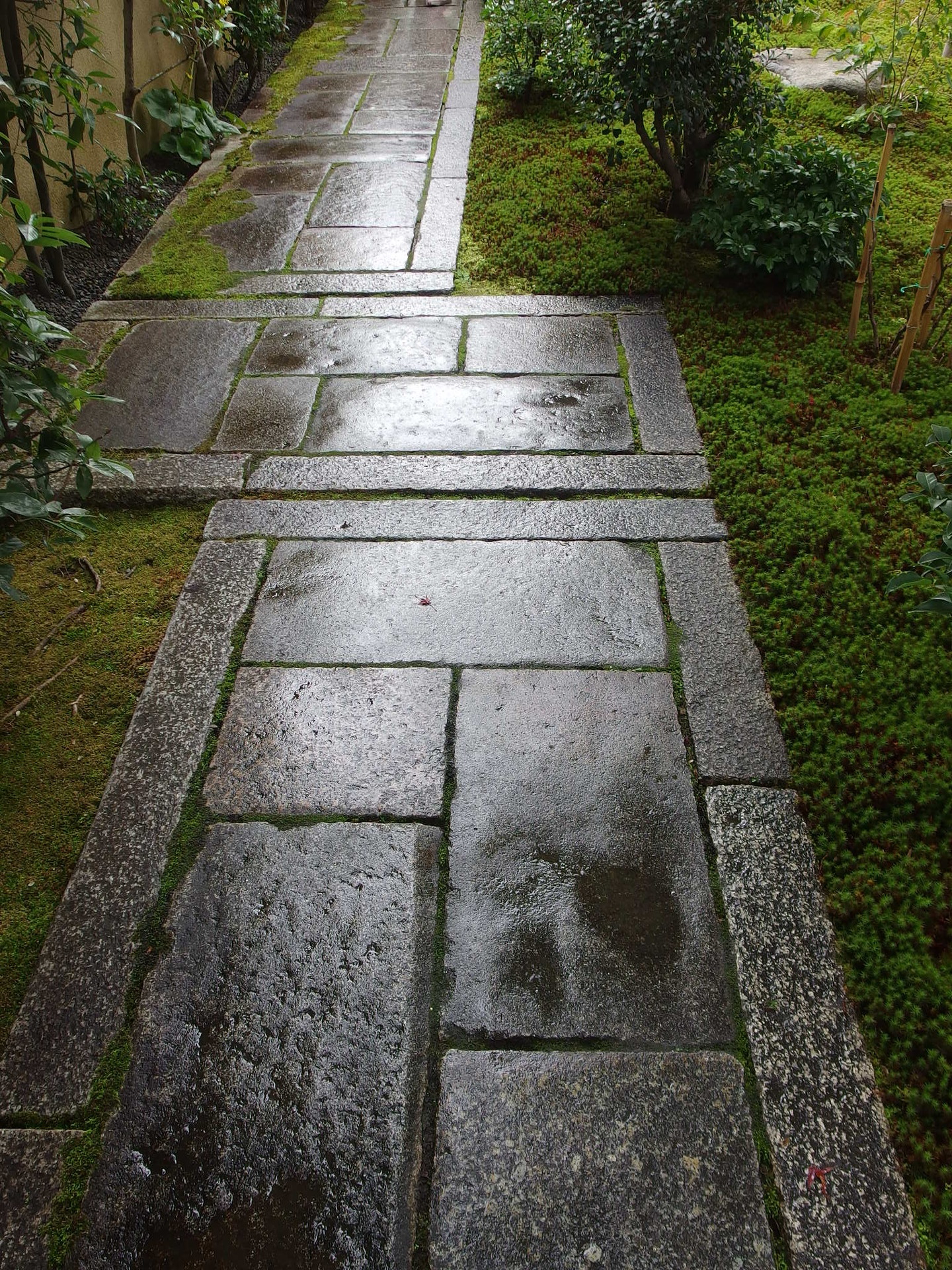 IMGP1345.JPG