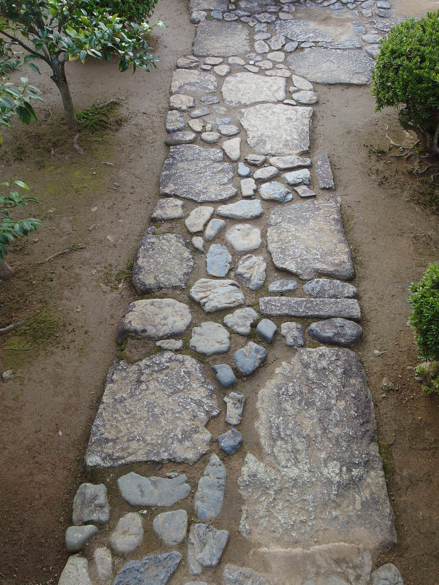 IMGP1365.JPG