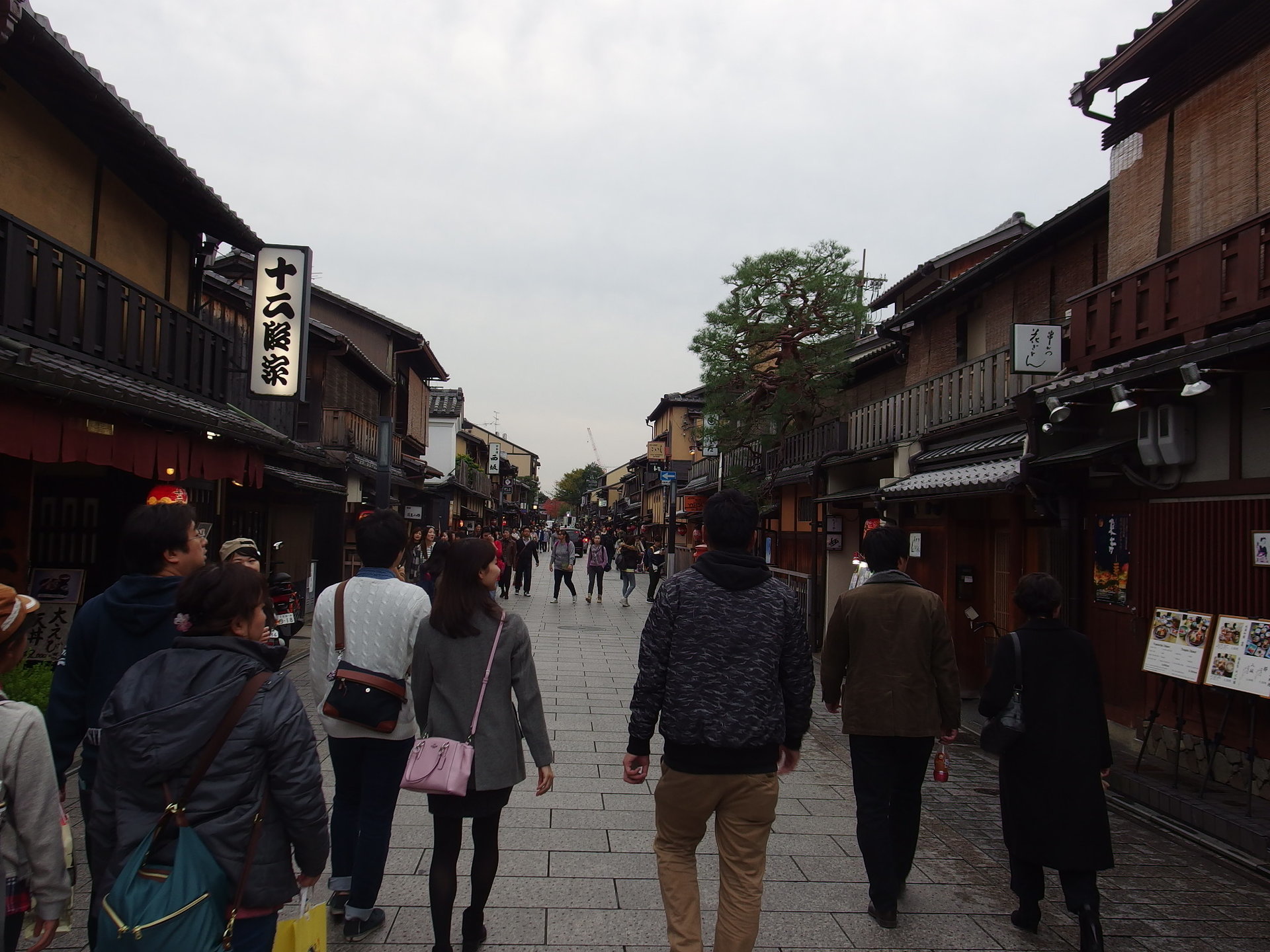 IMGP1369.JPG