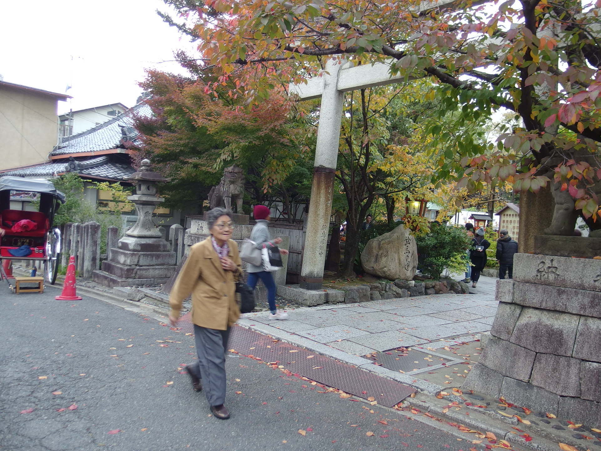 IMGP1370.JPG