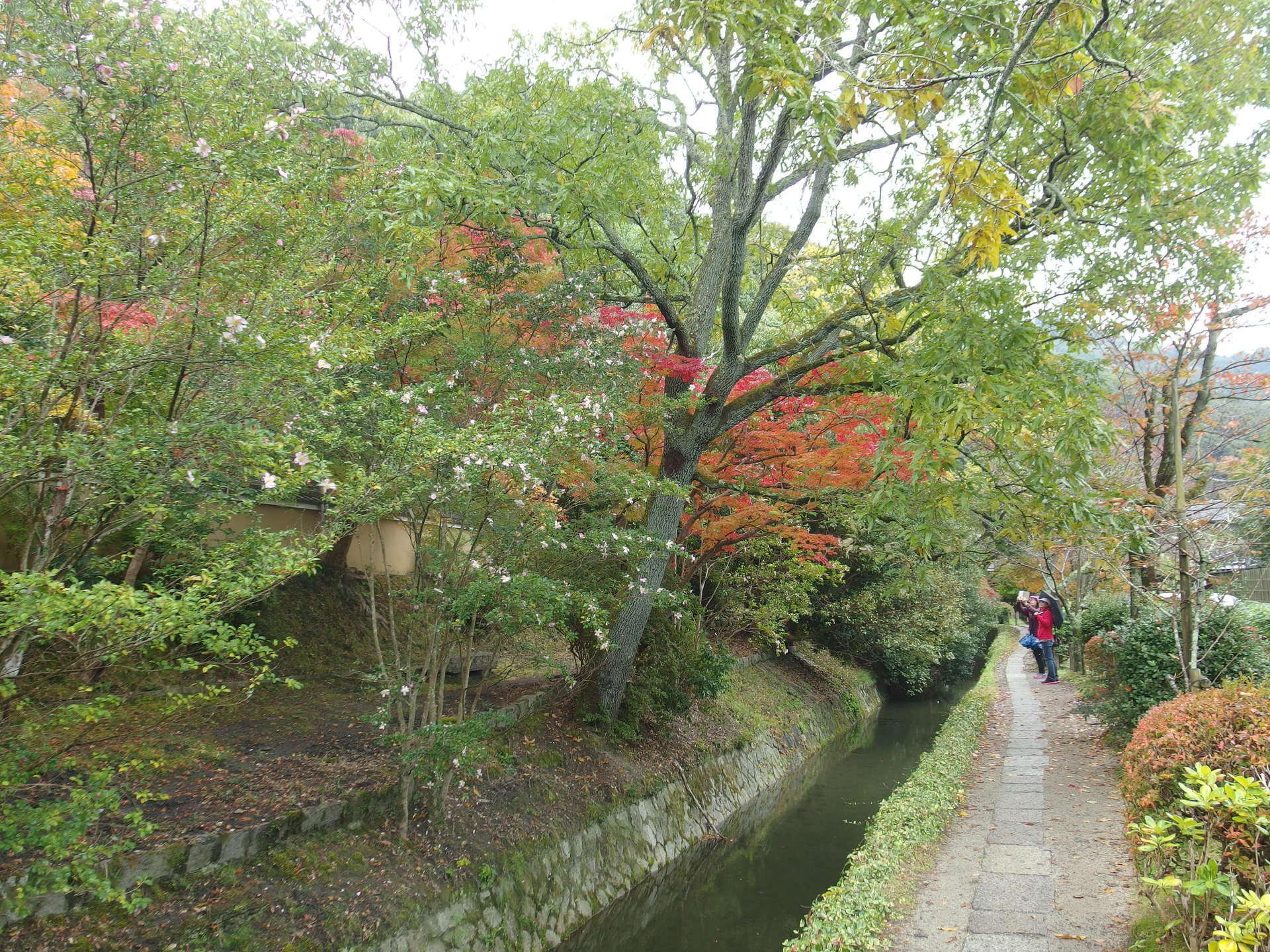 IMGP1484.JPG
