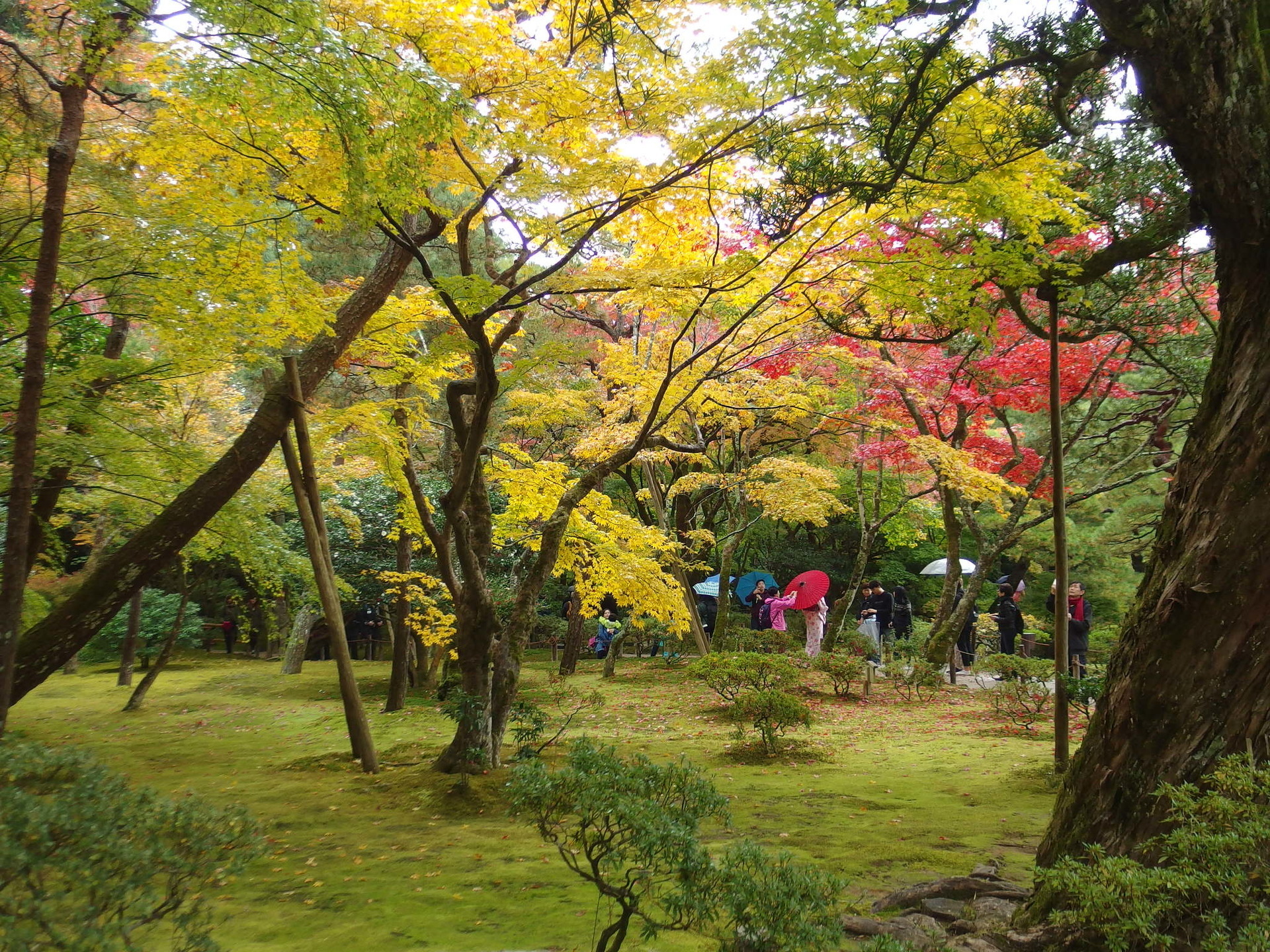IMGP1519.JPG