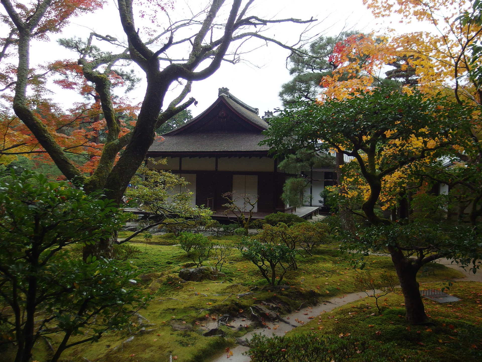 IMGP1524.JPG