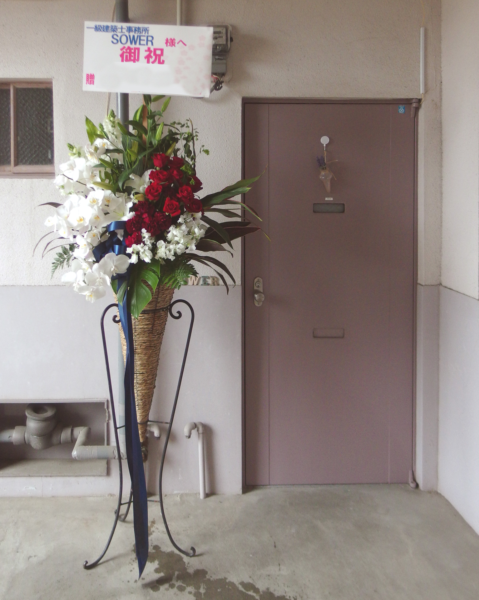 IMGP2377 - コピー.JPG